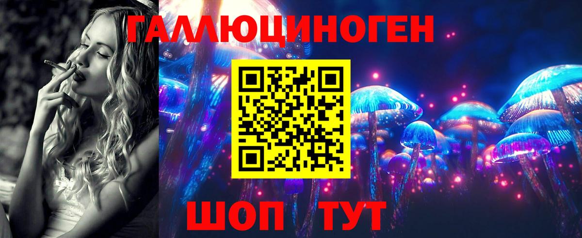 Галлюциногенные грибы Magic Shrooms  Вход с VPN  Курганинск  Галлюциногенные грибы Cubensis 