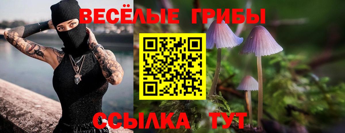 Галлюциногенные грибы ЛСД Курганинск